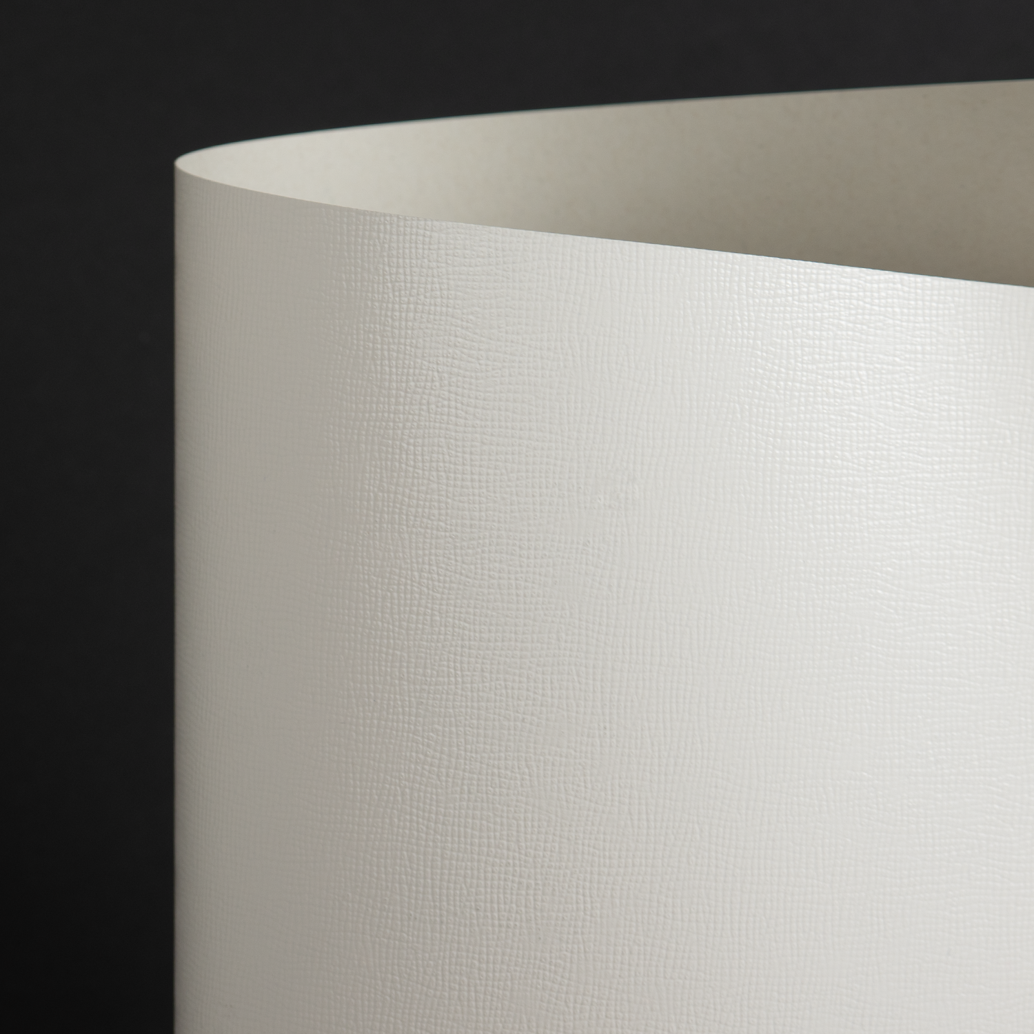 Gloss Edge, White (094-02277L)