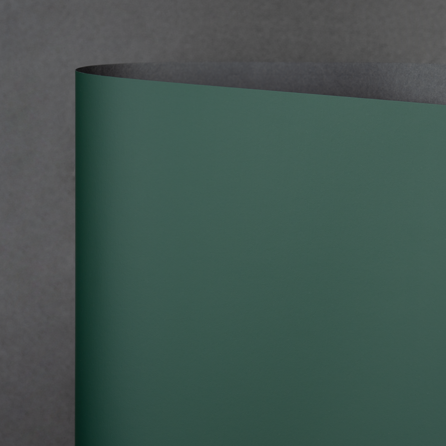 Rainbow LX Plush, Green (M9403)