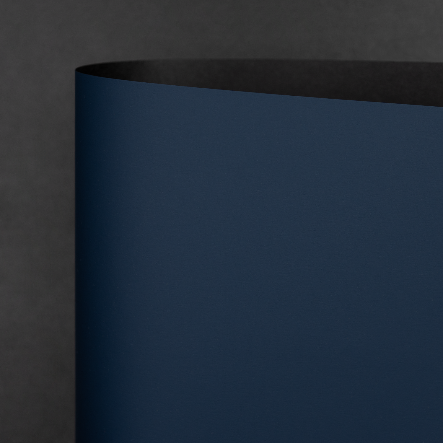 Rainbow LX Plush, Navy (M9404)