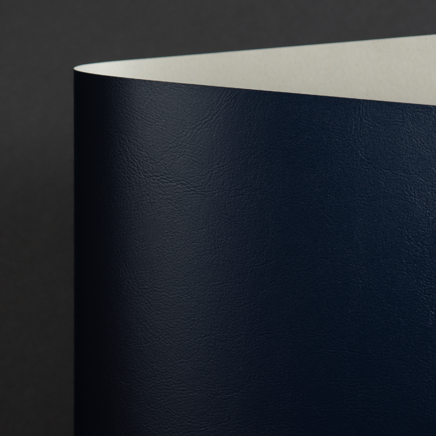 Classic Recycle Mondo, Navy (020-00300D)