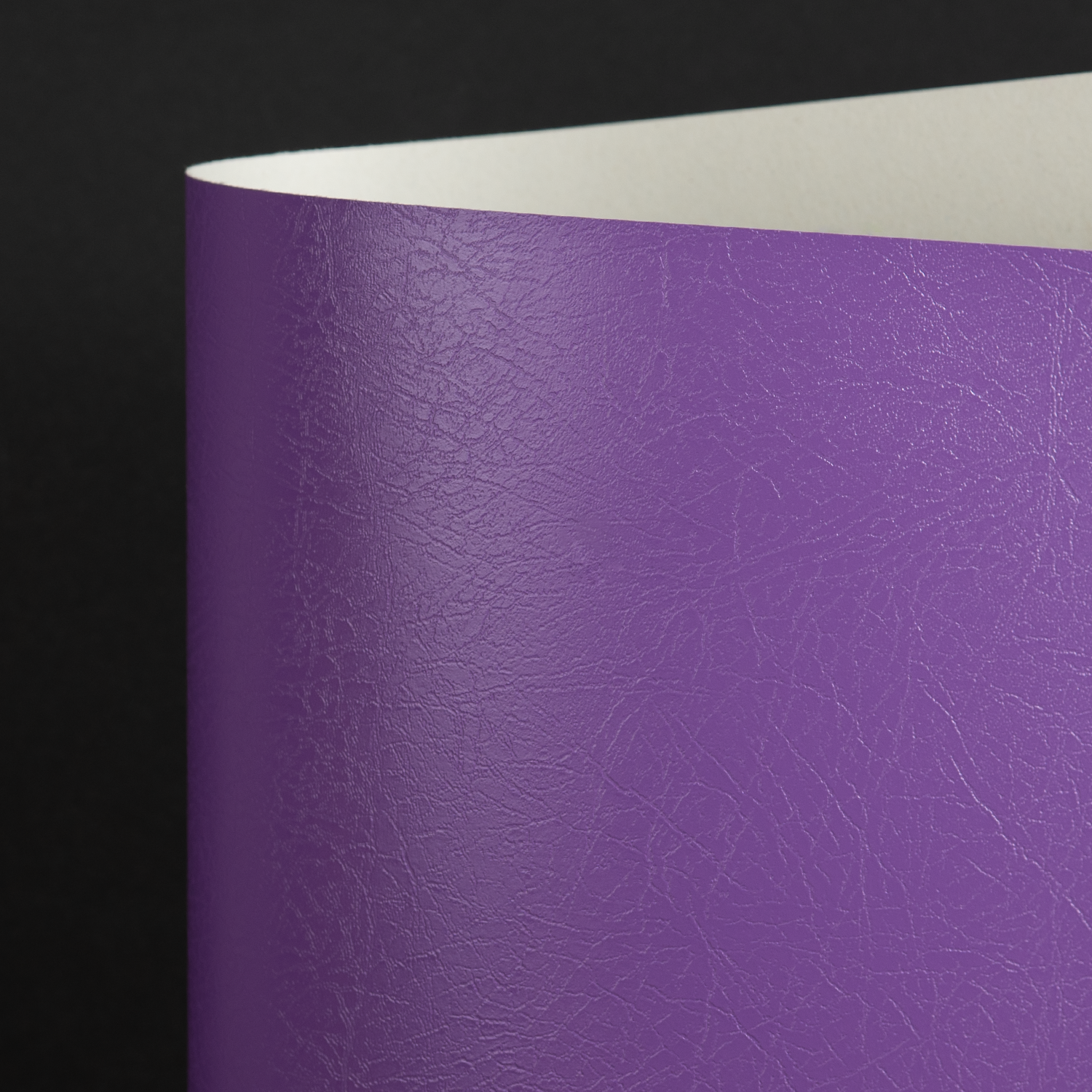 Gloss Brava, Purple (021-07877L)