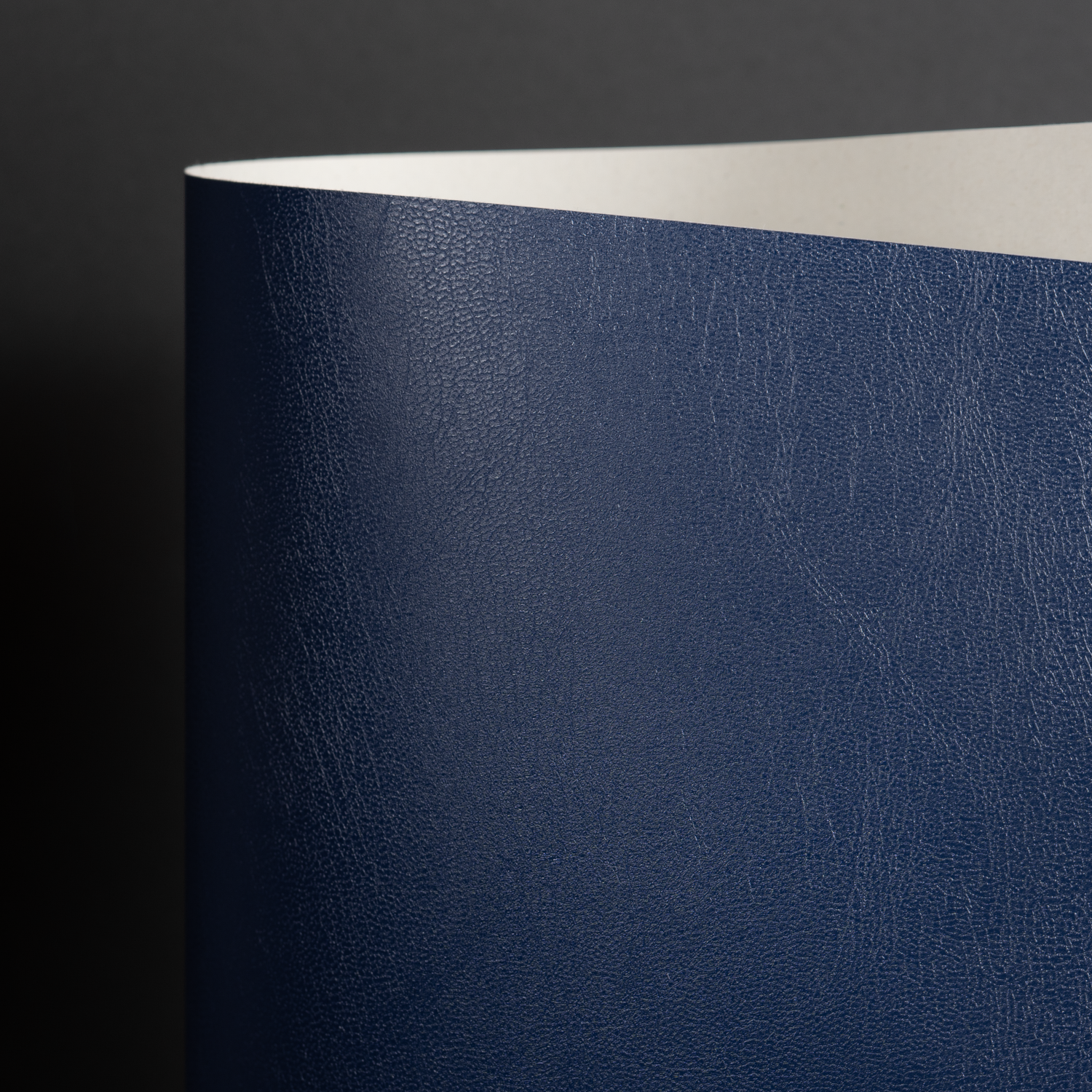 Classic Cavali, Navy Blue (033-38000S)