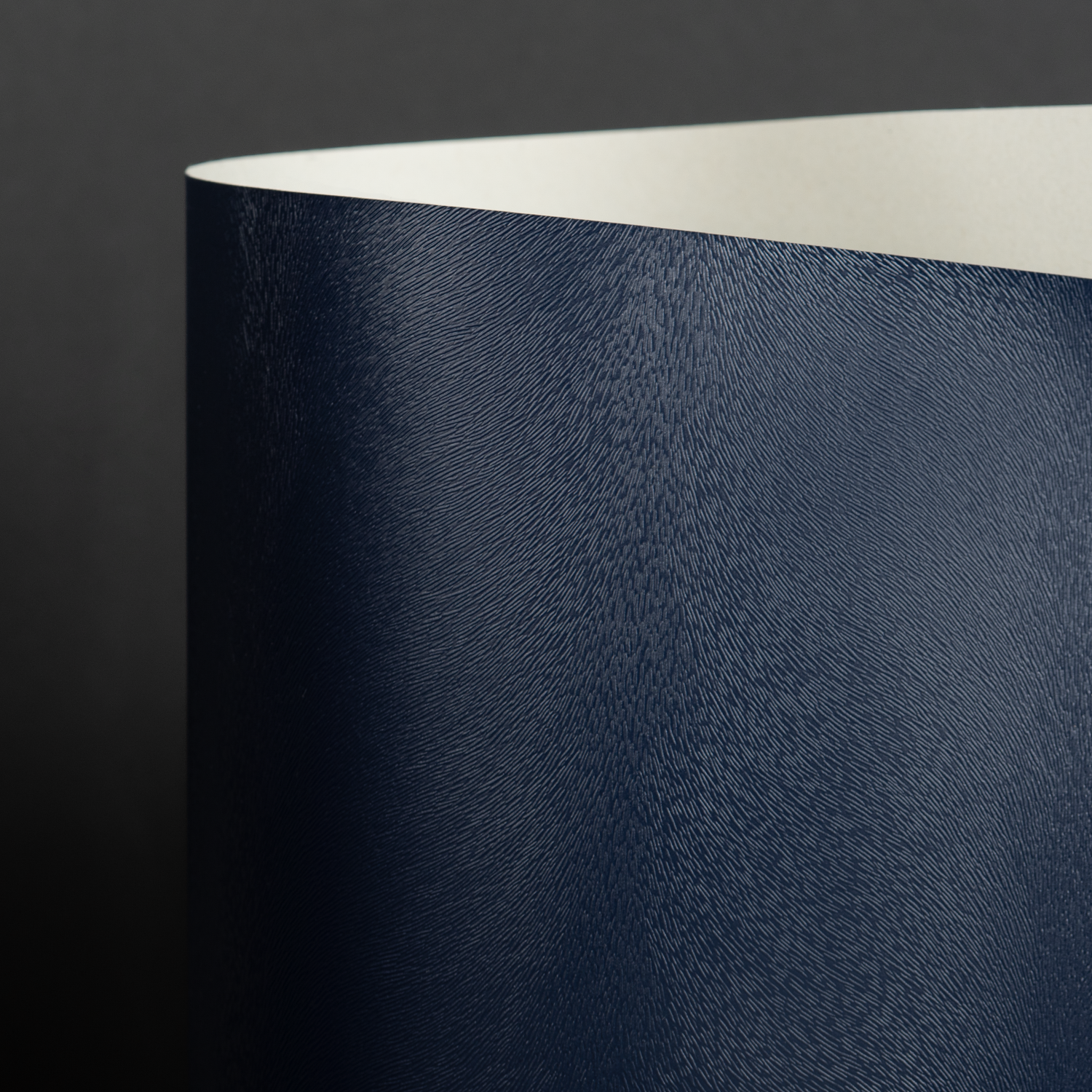 Classic Recycle Otter, Navy (048-10200D)