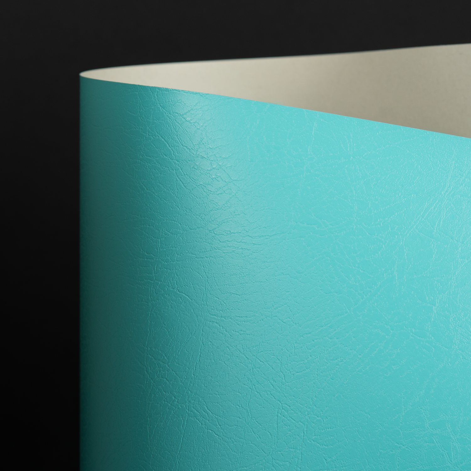Gloss Brava, Mint (021-23977L)