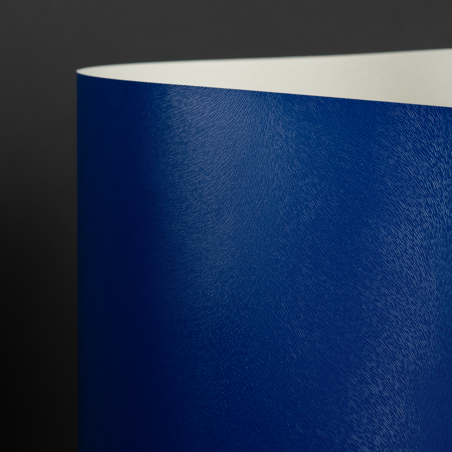 Classic Recycle Otter, Blue (048-10100D)