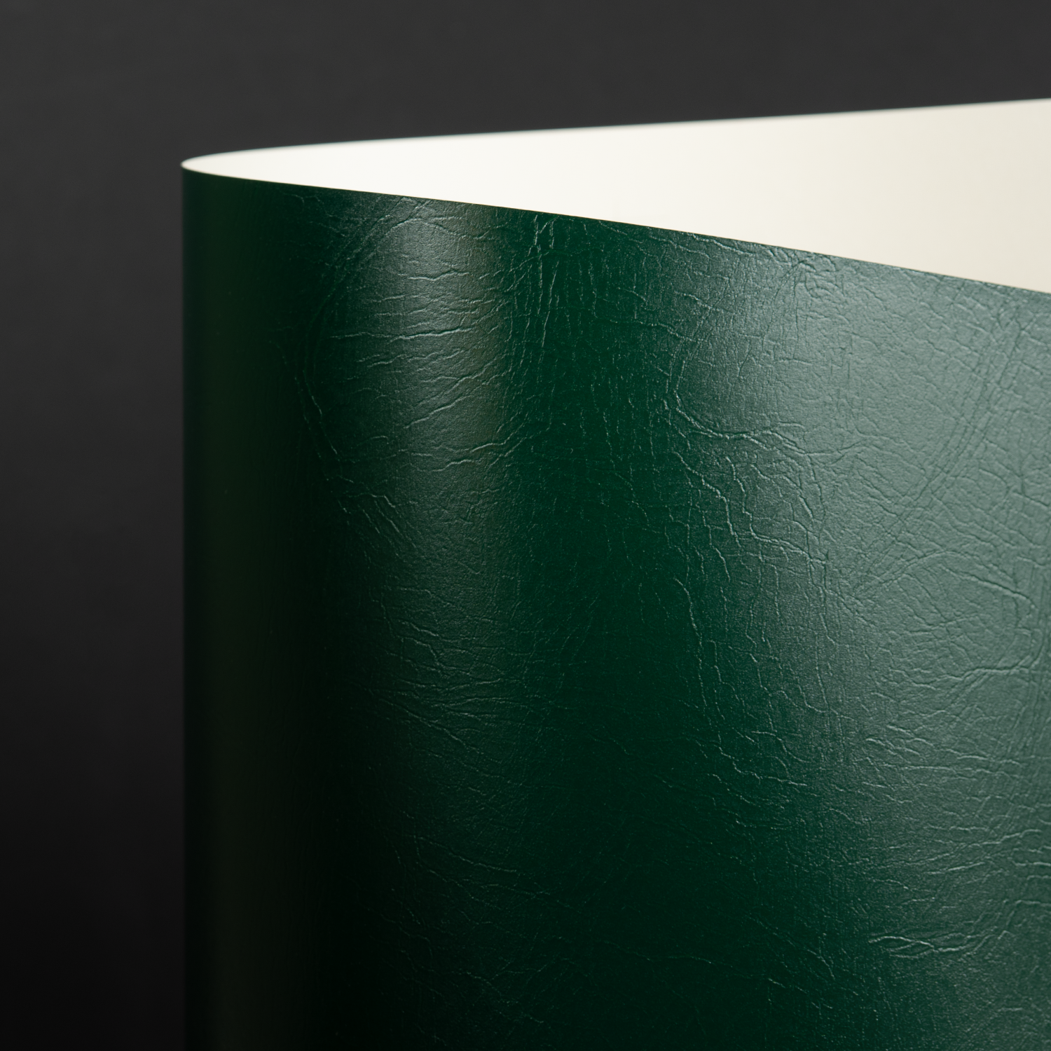 Flexcover Cadenza, FT Green (018-38100B)