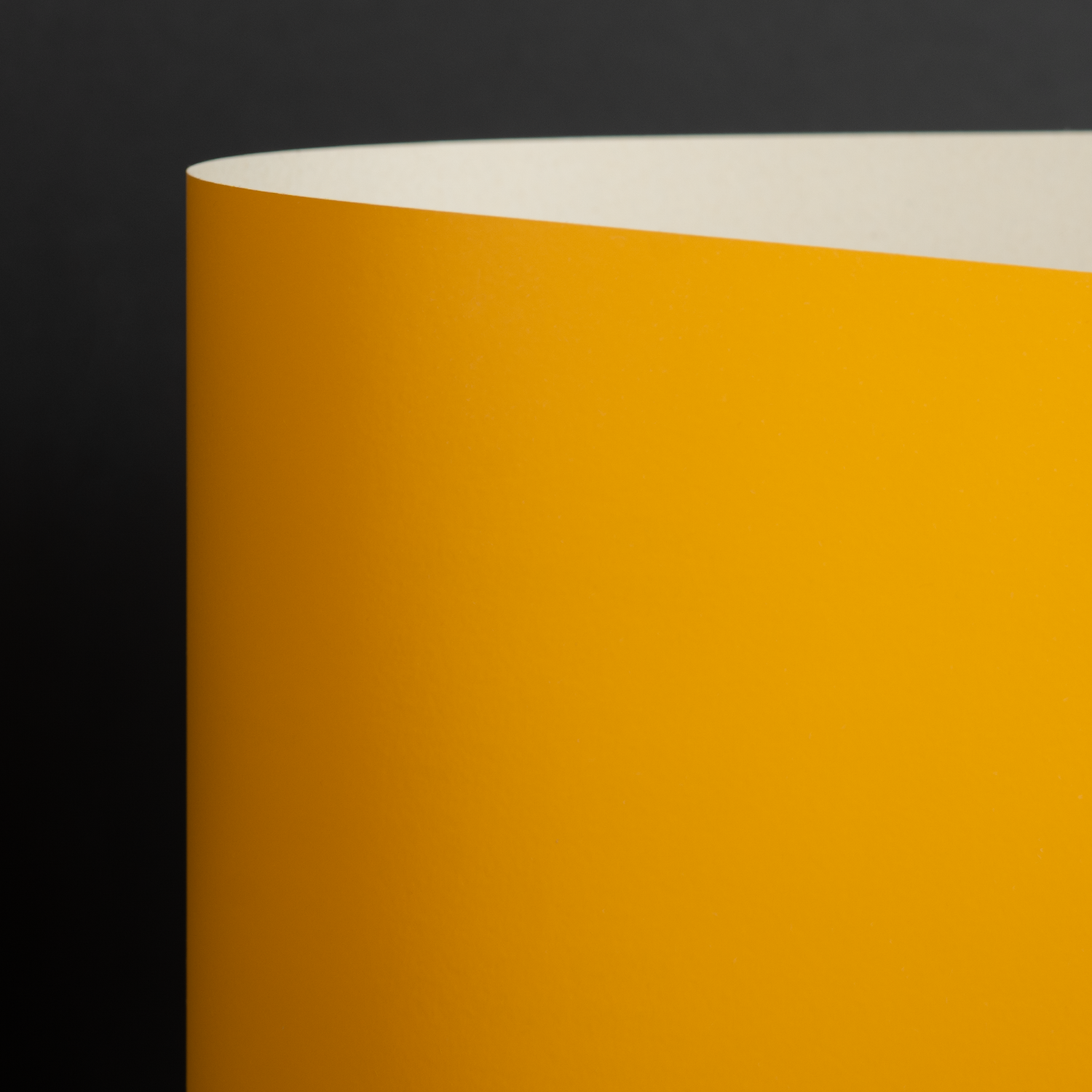Glaze Alba, Mustard (099-94877G)
