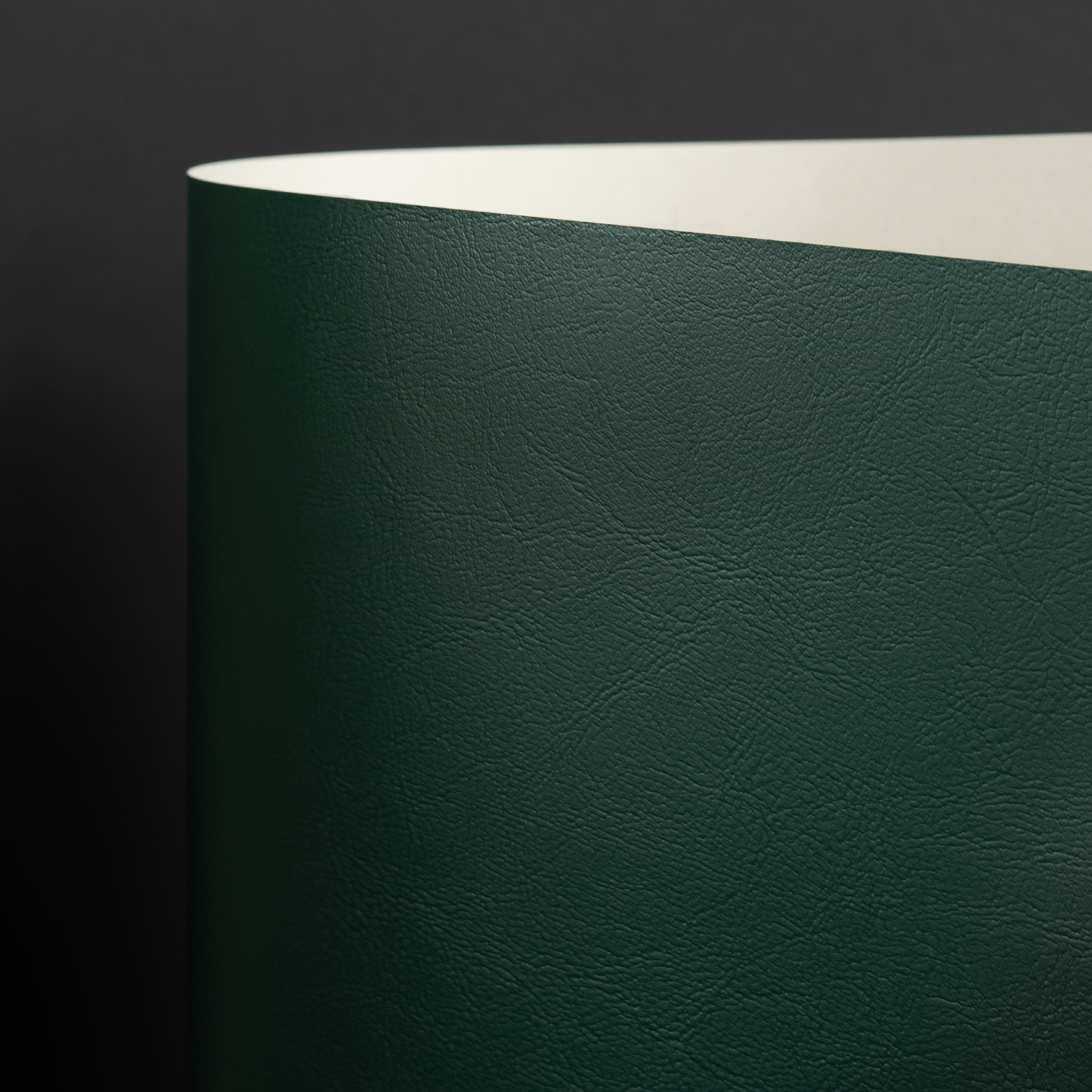 Classic Recycle Mondo, Green (020-05300D)