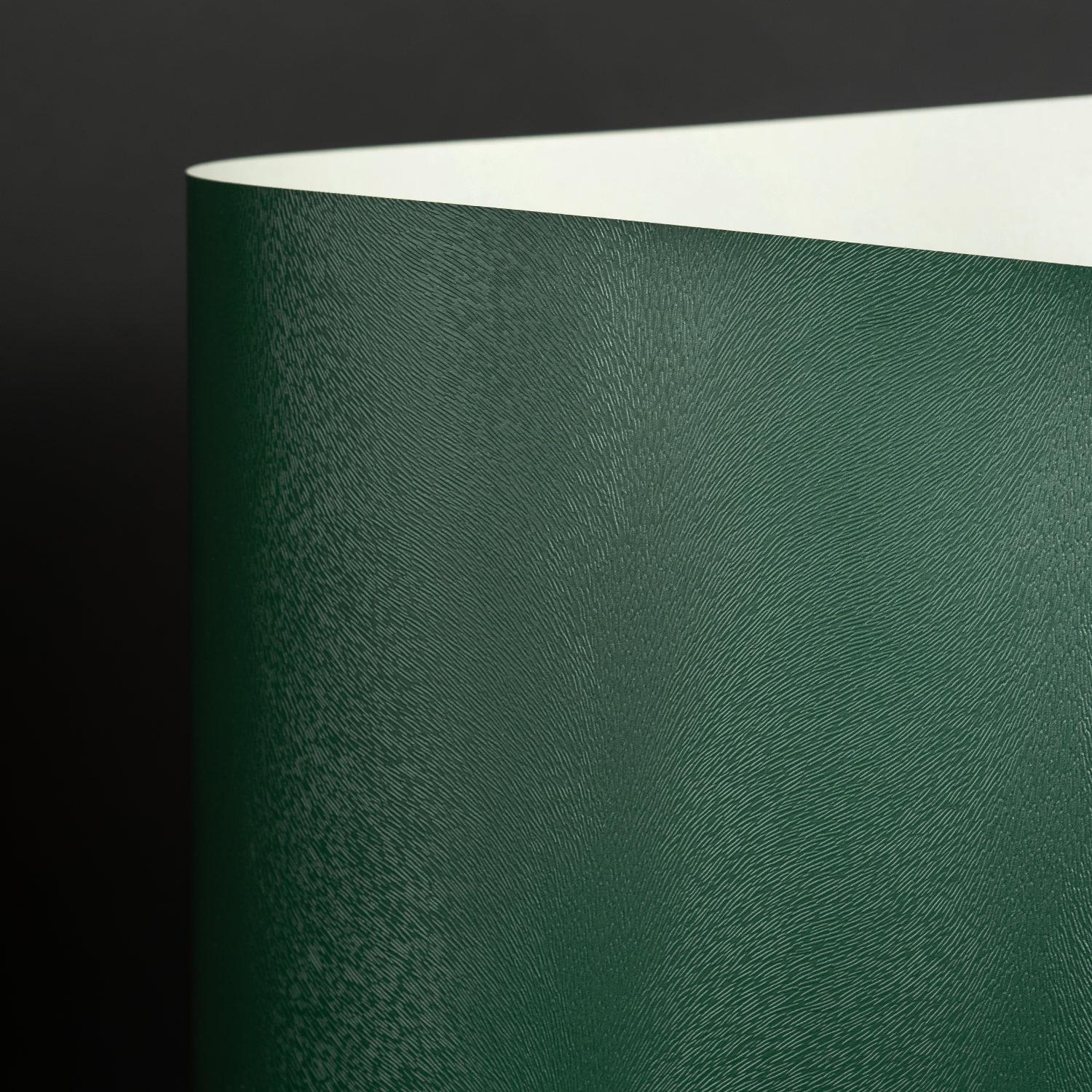 Classic Recycle Otter, DK Green (048-01300D)