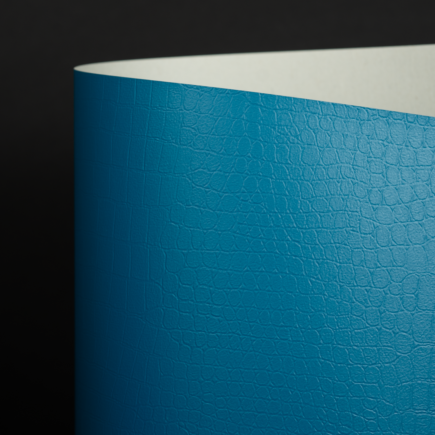 Classic Recycle Gator, DK Turquoise (091-16200D)