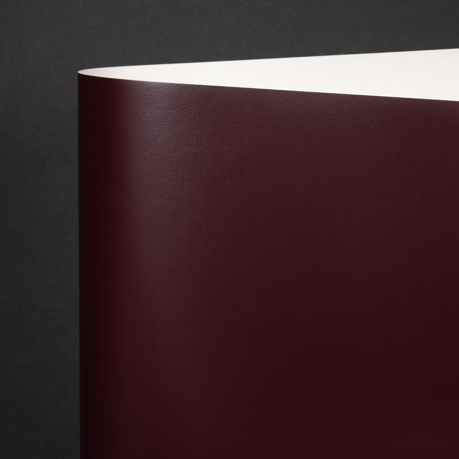 Rainbow LX Endleaf Kid 921, Burgundy (9205)
