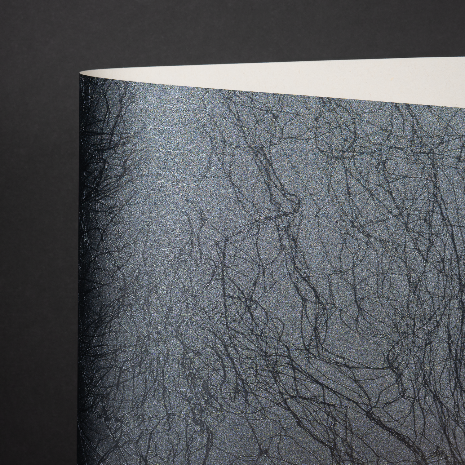 Metallics Aurora, Black (044-00178M)