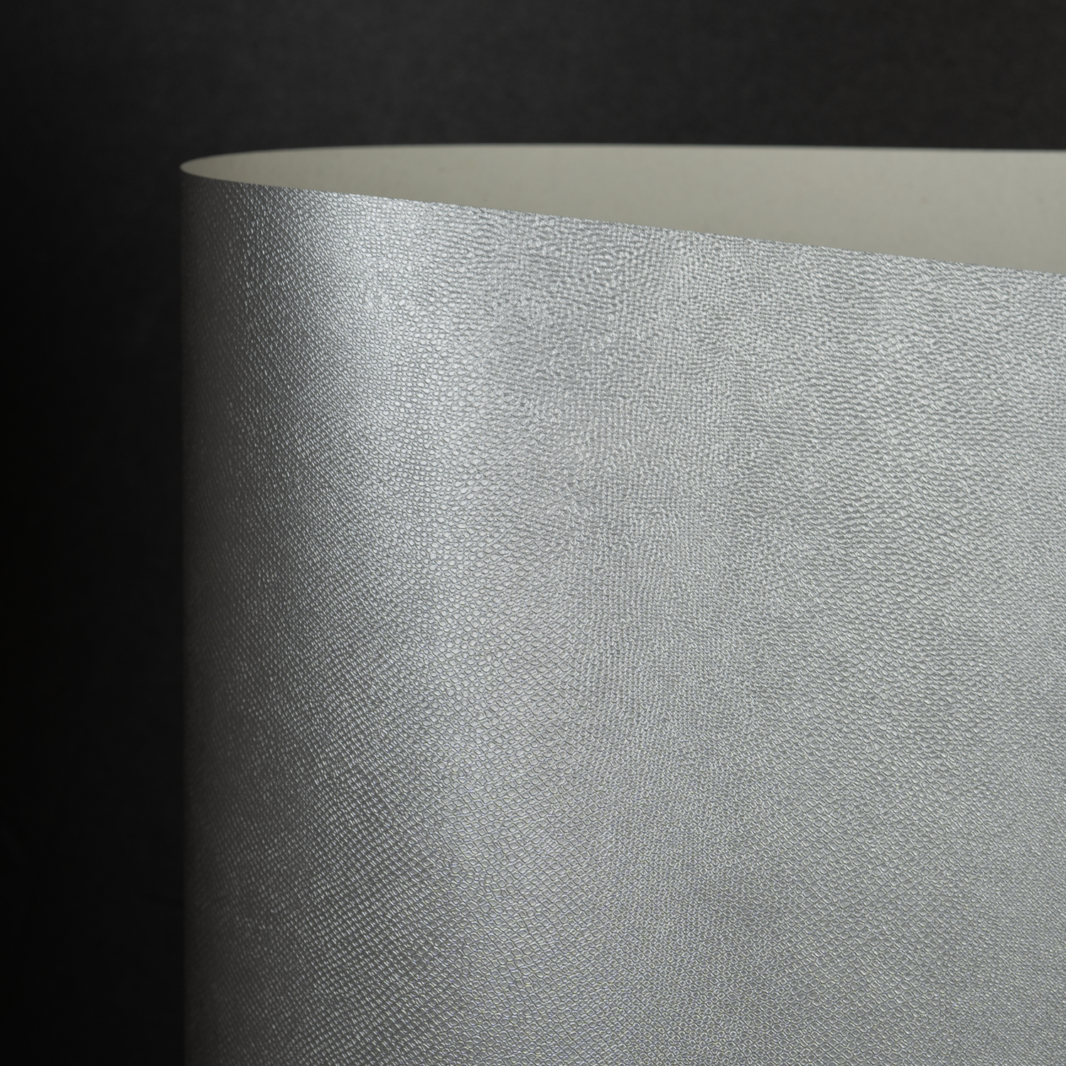 Metallics Allure, Sliver (095-87178M)