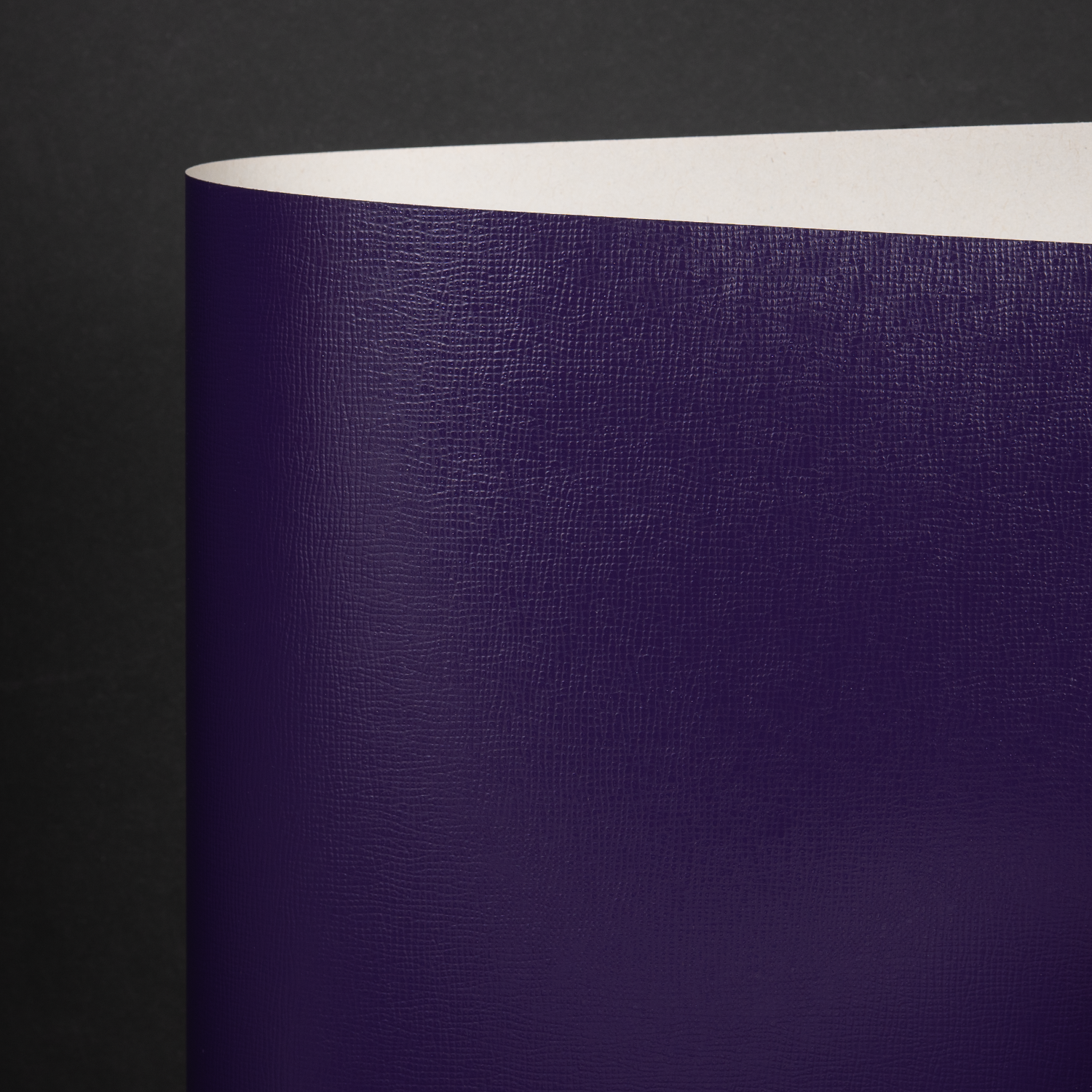 Gloss Edge, Purple (094-14577L)