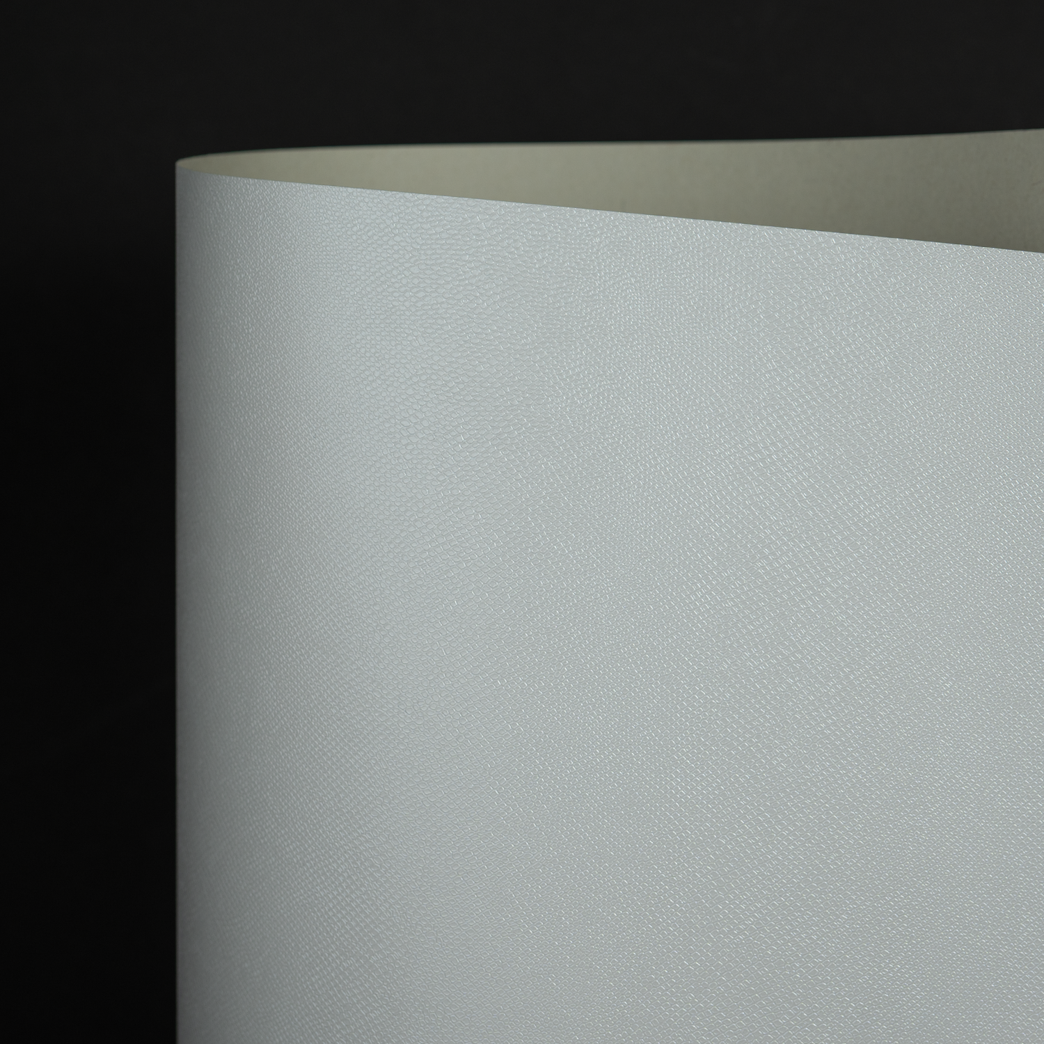 Metallics Allure, Metallic White (095-54878M)