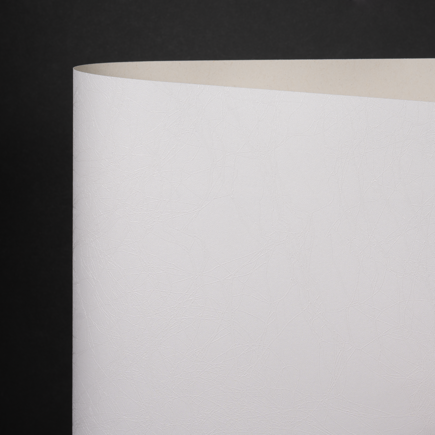 Metallics Aurora, Metallic White (044-22678M)