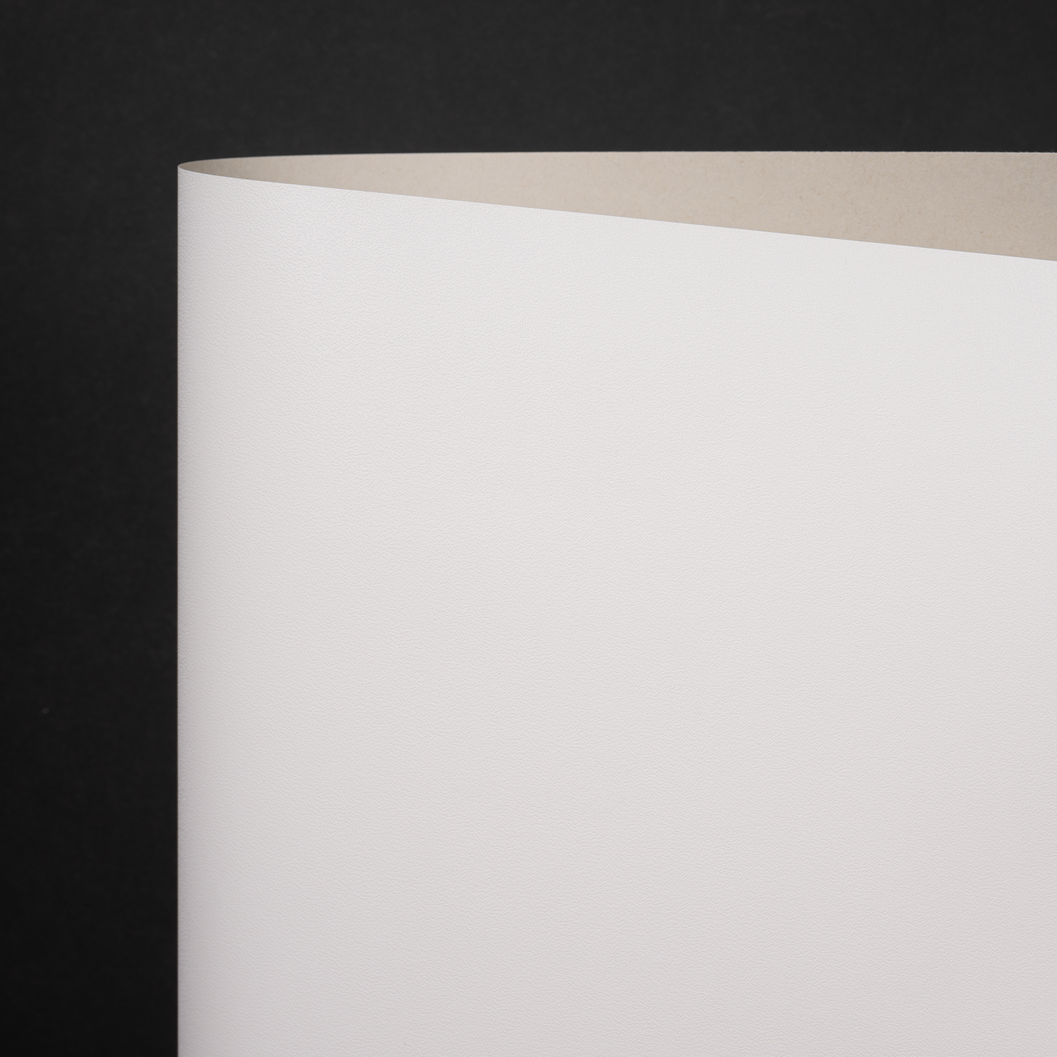 Classic Velo, White (166-16300S)