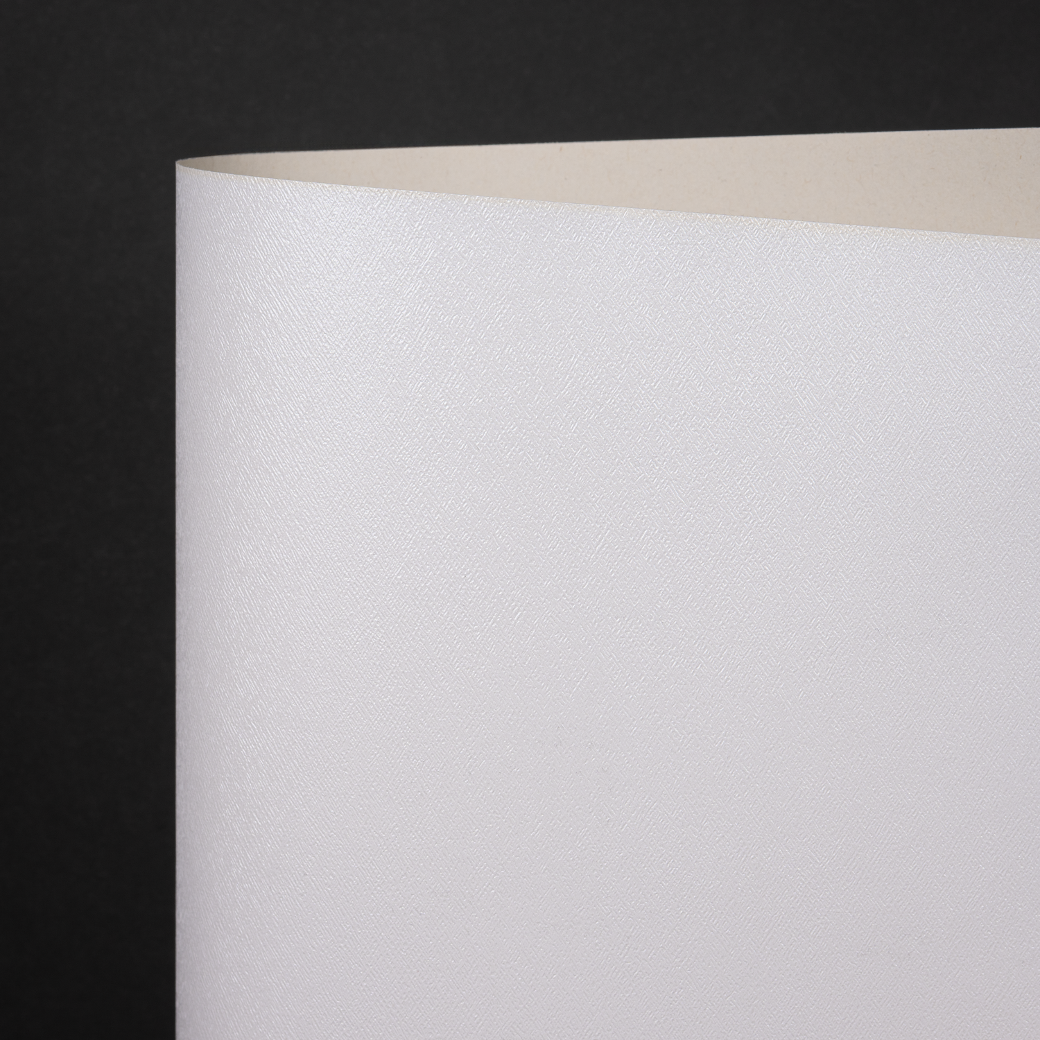 Metallics Terni, Metallic White (103-54878M)