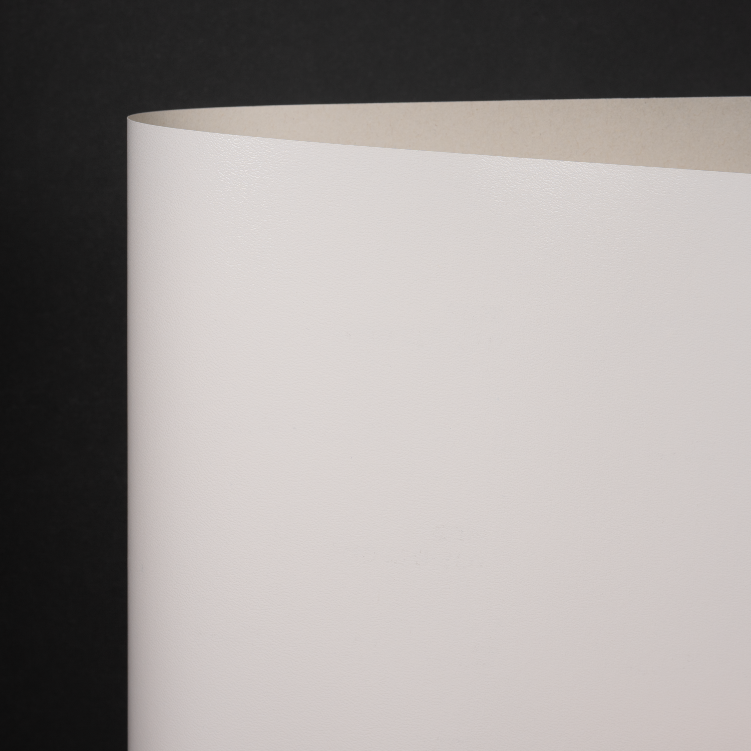 Classic Bloom, White (035-02200S)