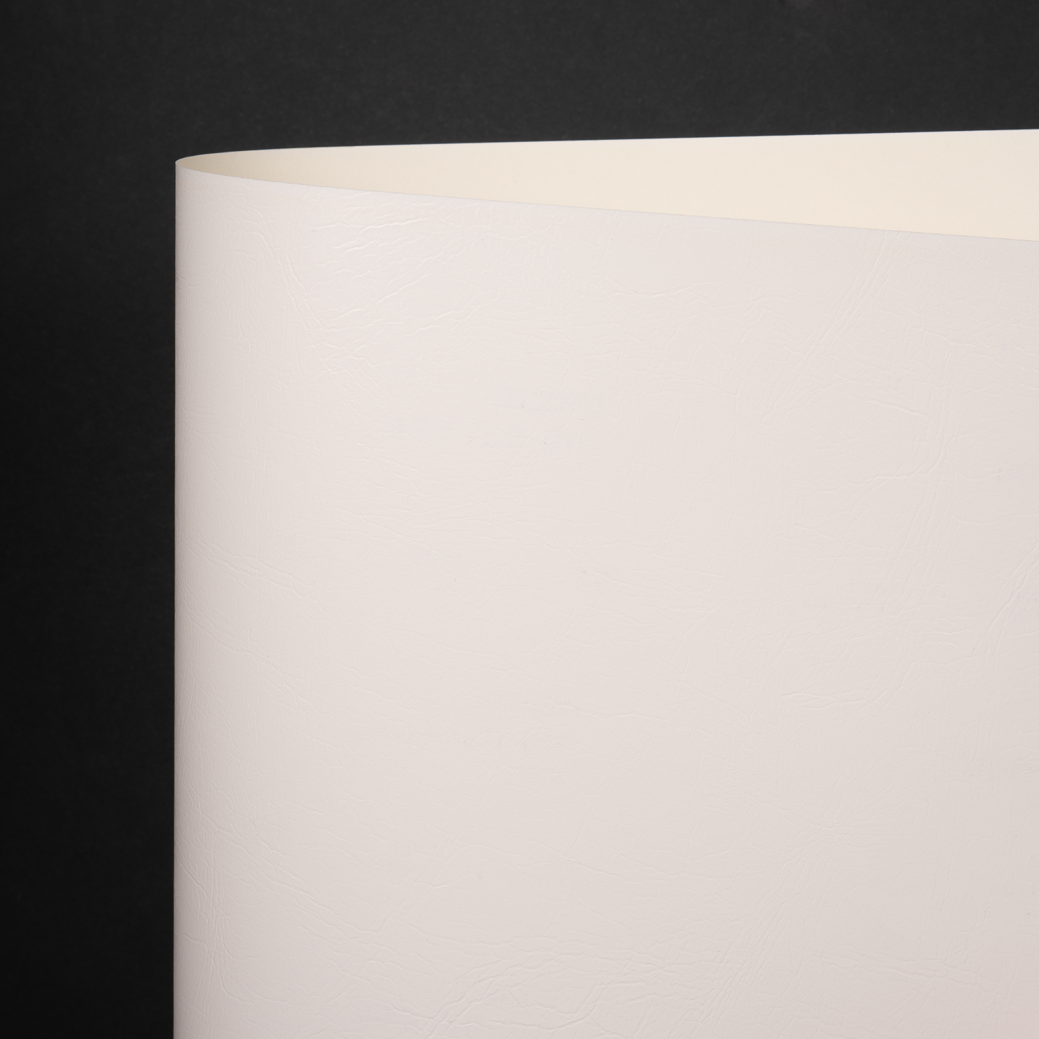 Flexcover Cadenza, White (018-02200B)
