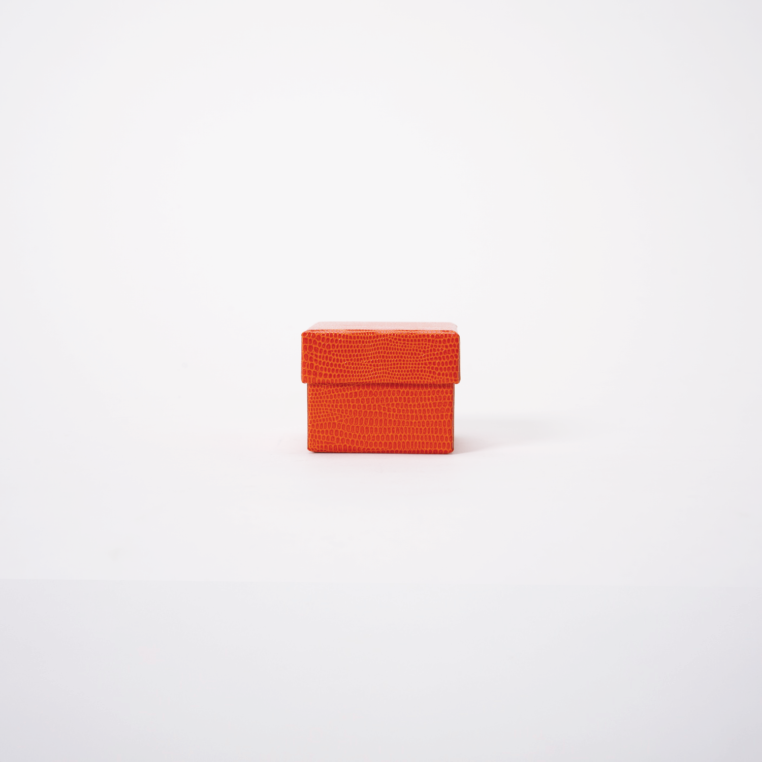 BRAND: RDCV, MATERIAL: VINYL COATED PAPER