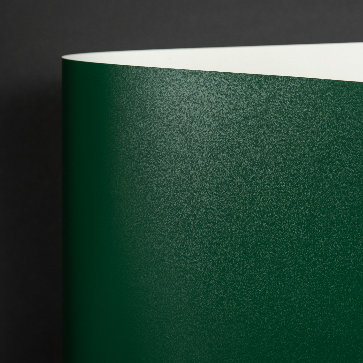 Classic Sand, DK Green (001-01300S)