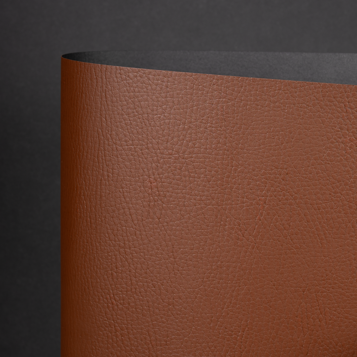 Dazzle, DK Brown (YNB-005)