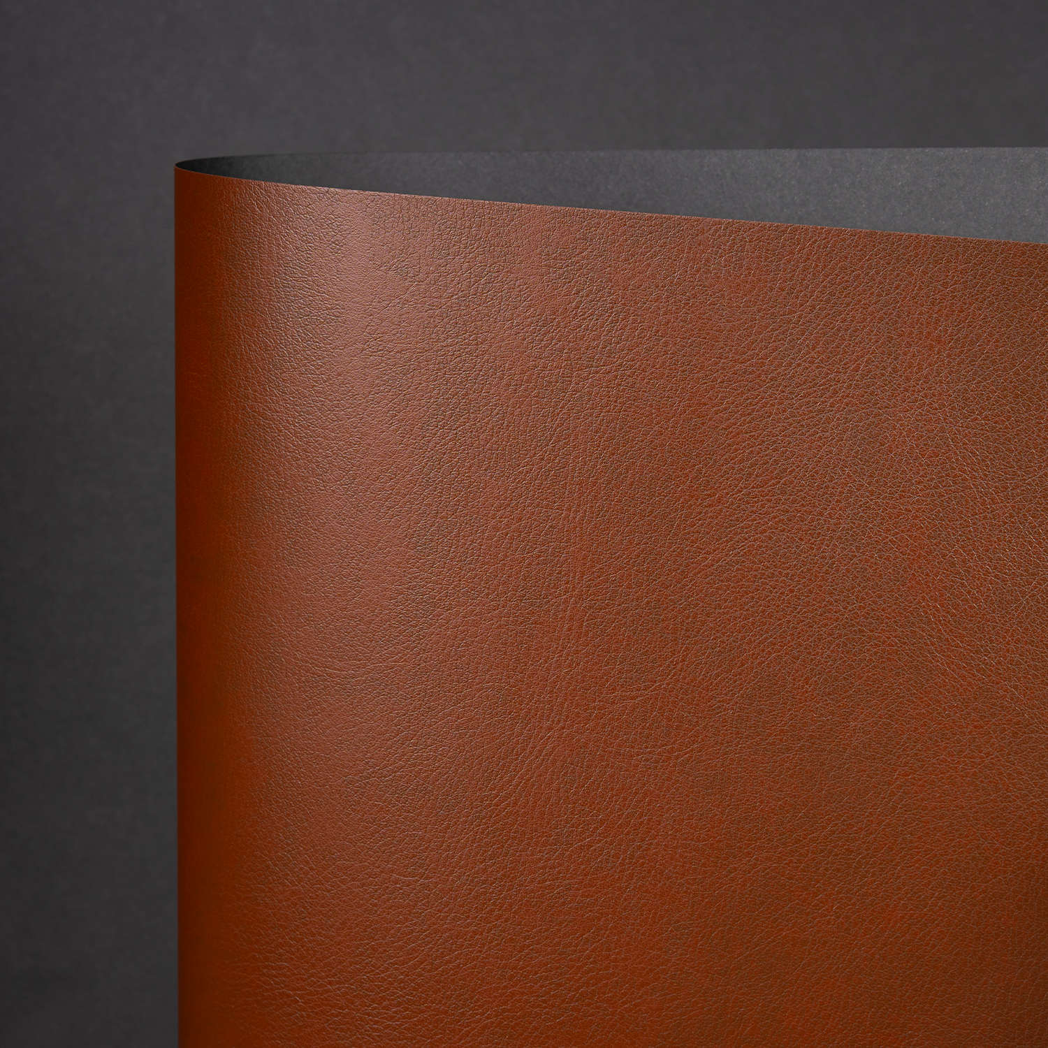 Siena, DK Brown (YNC-005)