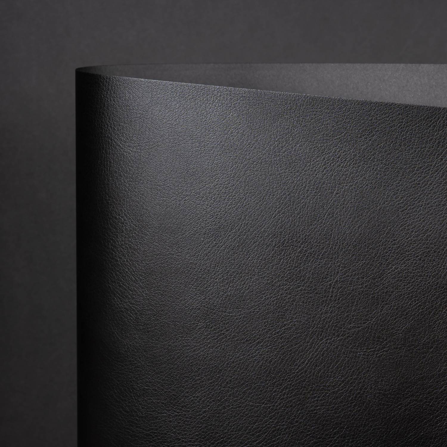Siena, Black (YNC-001)