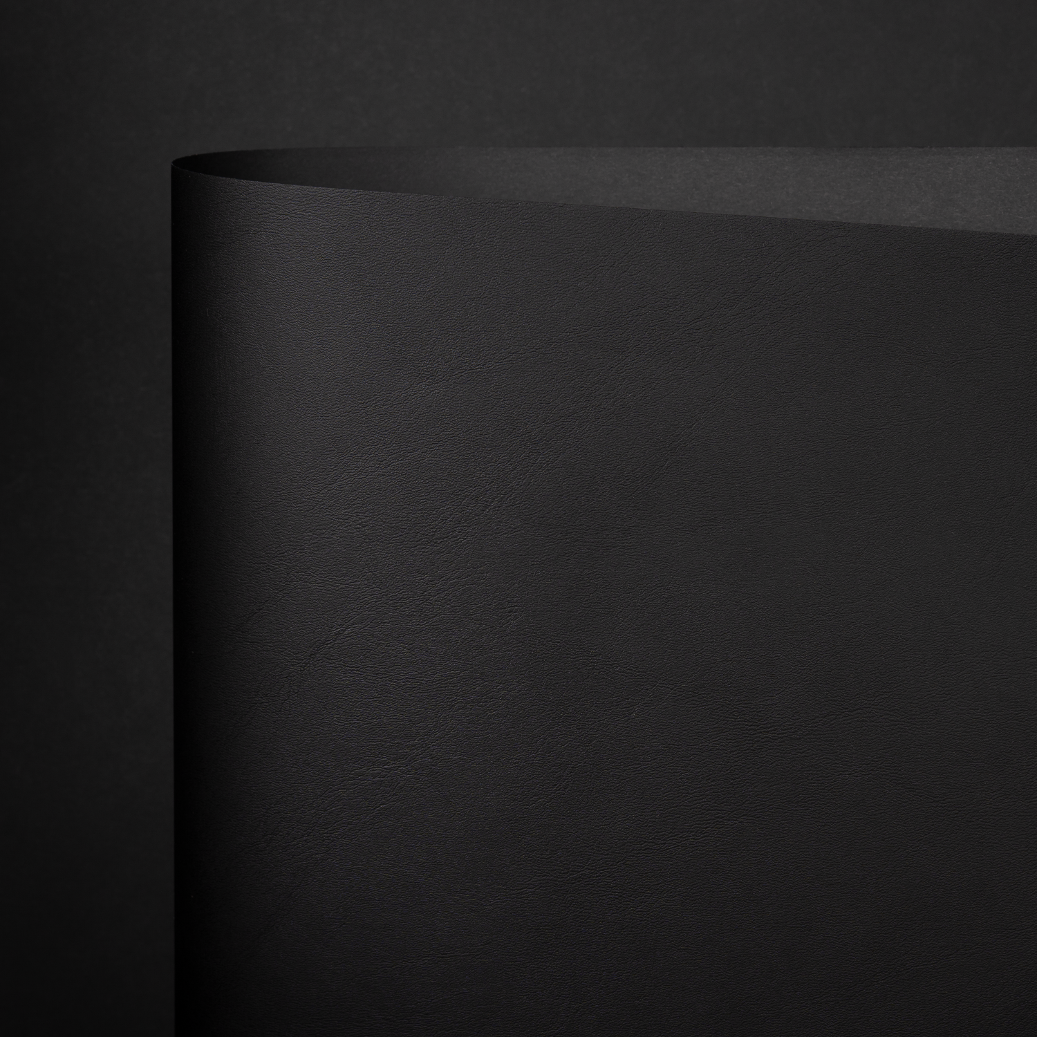 Berthe, Black (YNE-001)