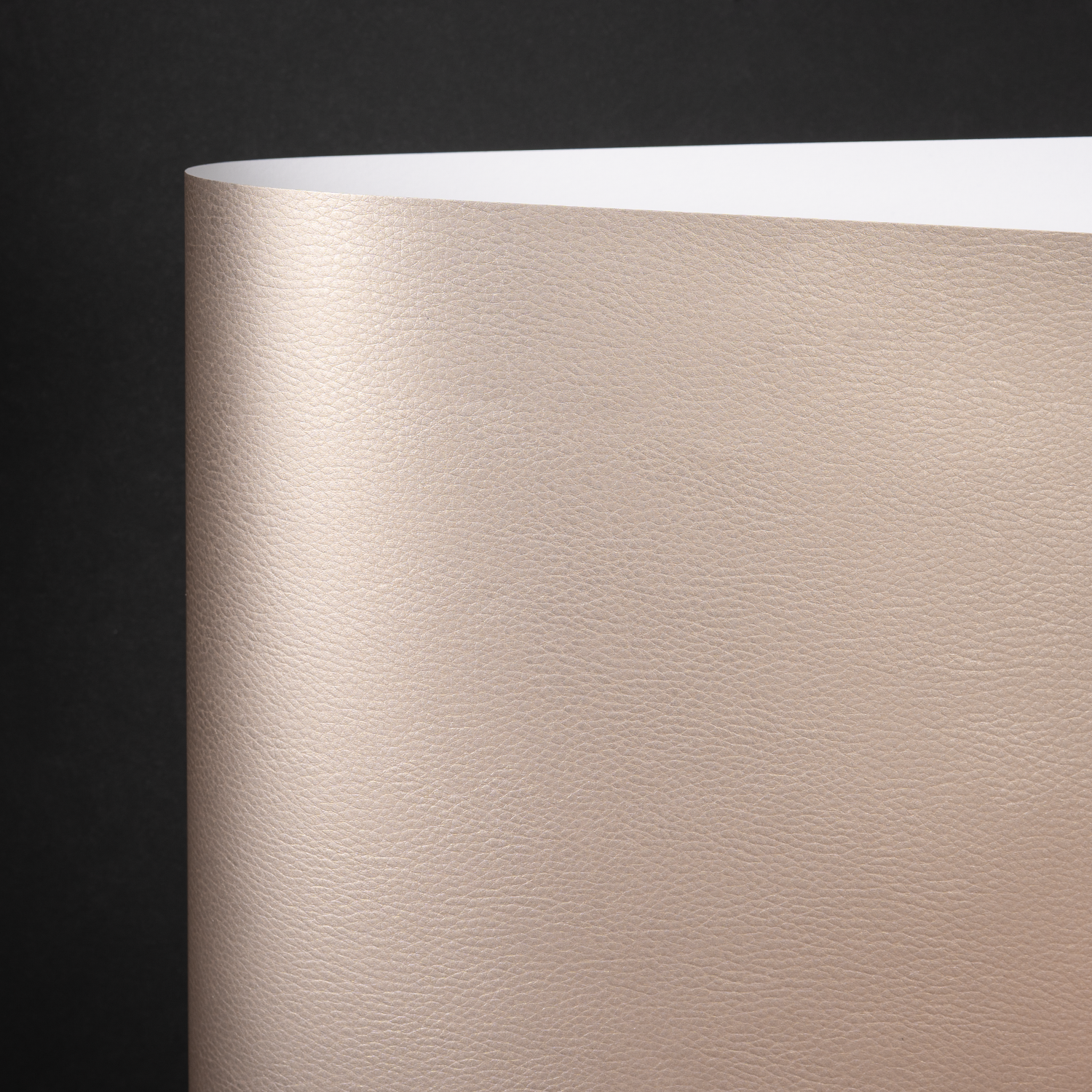 Hazel, Carbon (YAL-002)