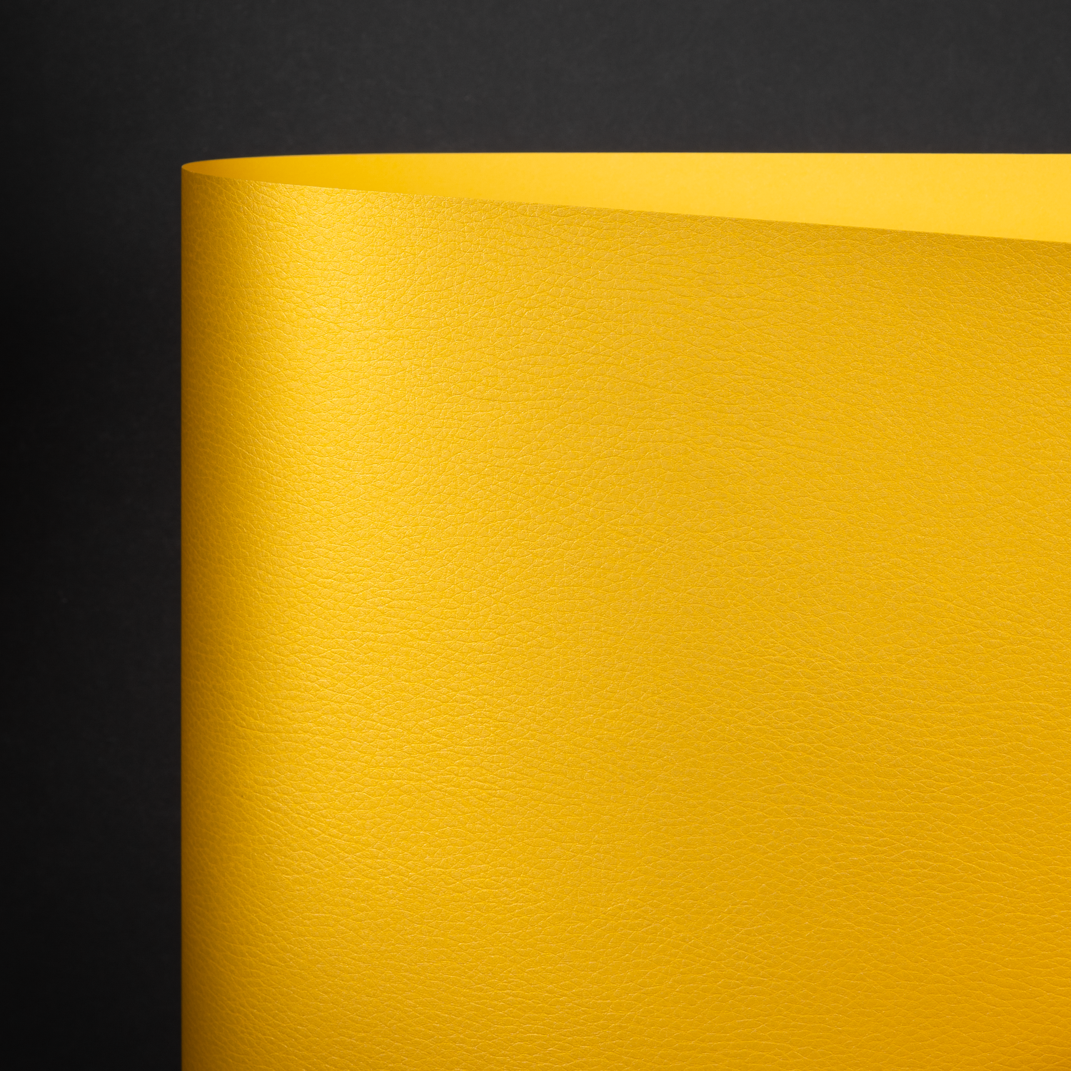 Hazel, Gold (YAL-006)