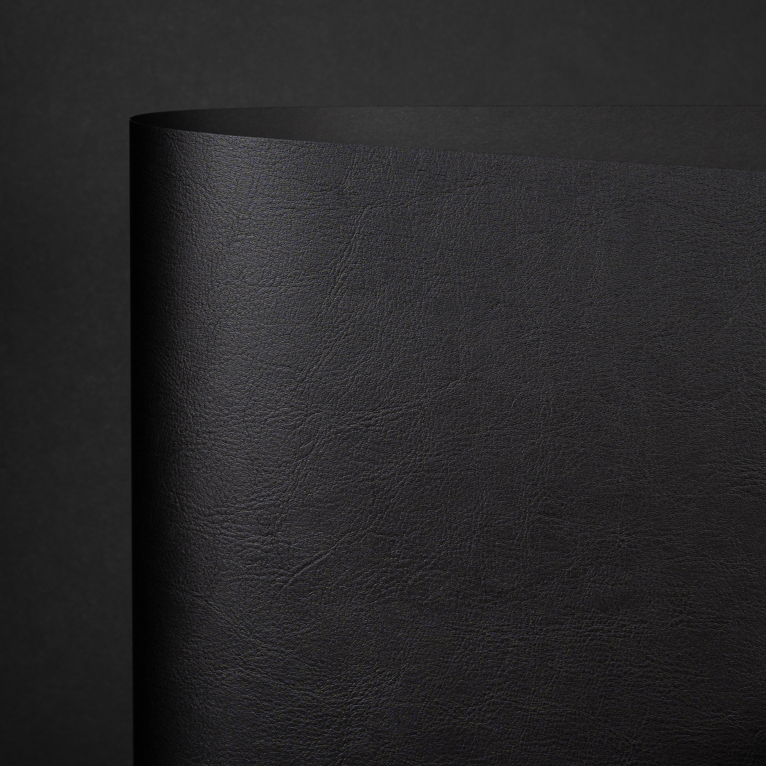 Eleanore, Black (YNF-001)
