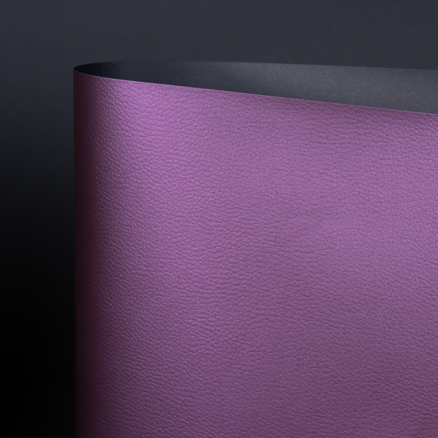 Hazel, Purple (YAL-007)