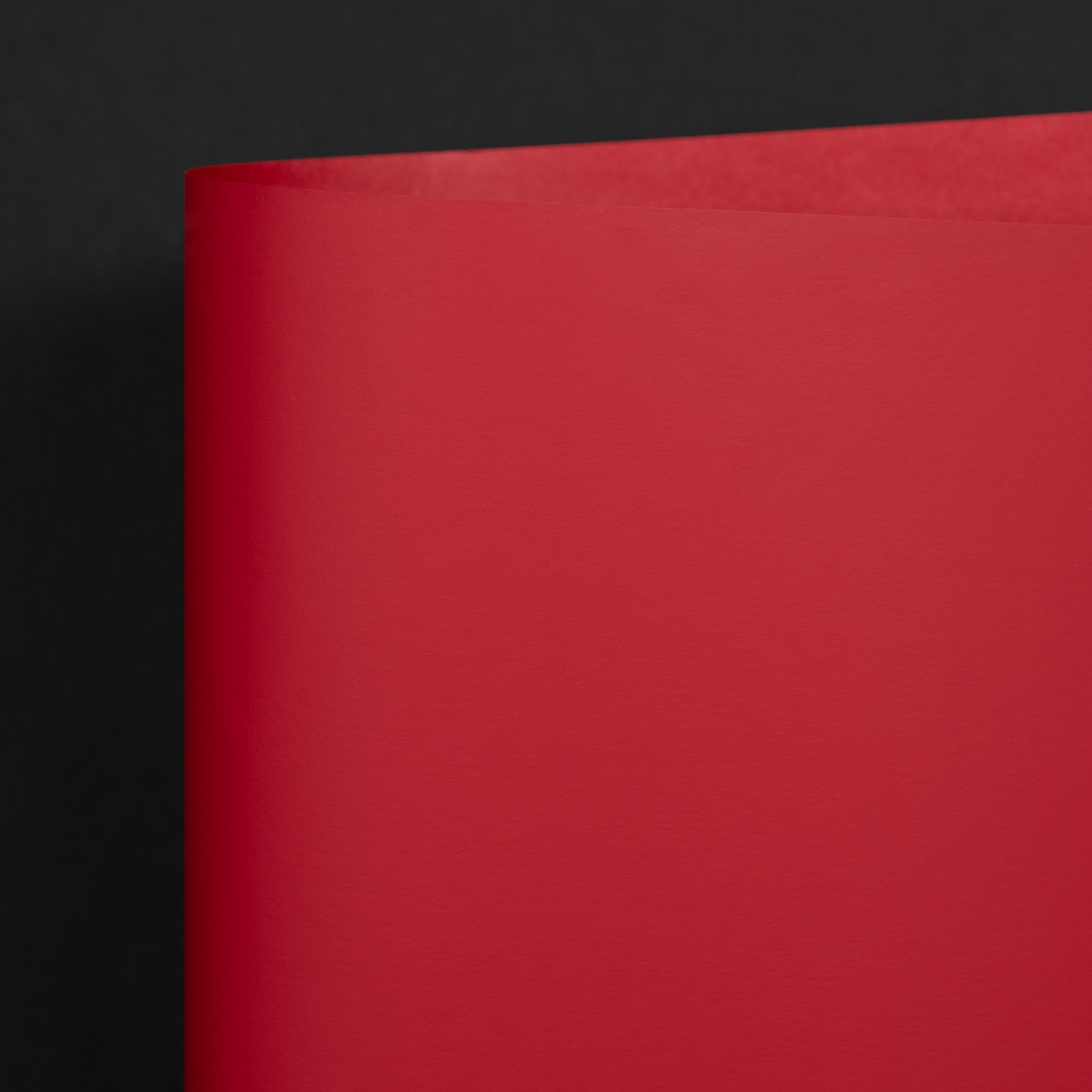 Rainbow LX Plush, Red (M9425)