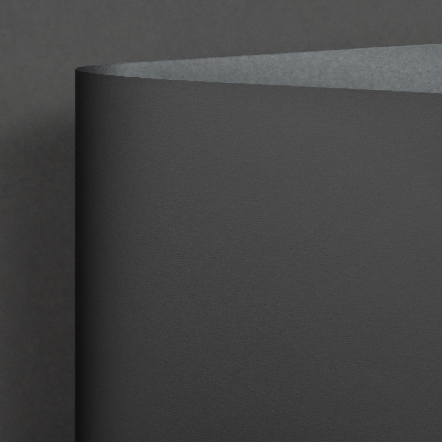 Rainbow LX Plush, Black (M9408)